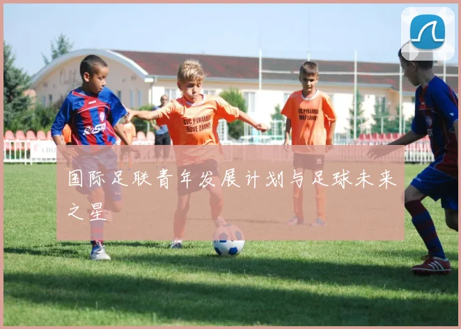国际足联青年发展计划与足球未来之星